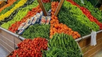 تراجع ملحوظ.. أسعار الخضروات والفاكهة في أسواق كفر الشيخ تسجل مستويات جديدة